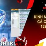 Kinh nghiệm cá cược 12bet – Kiến thức thú vị bạn nên biết