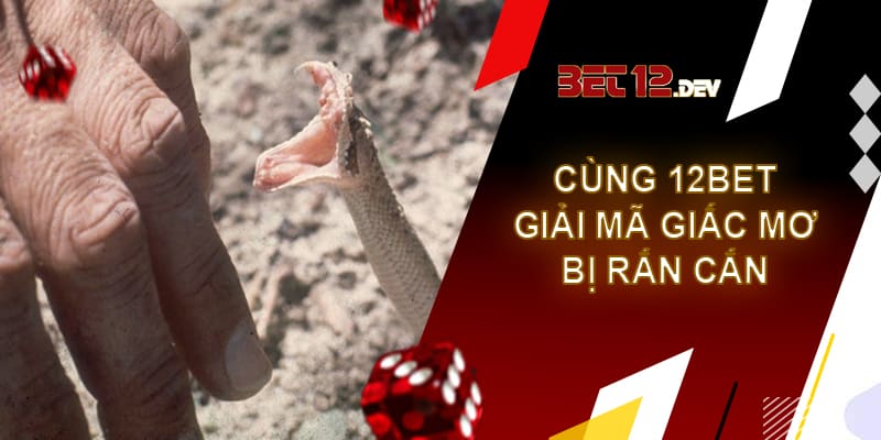 Cùng 12bet giải mã giấc mơ bị rắn cắn