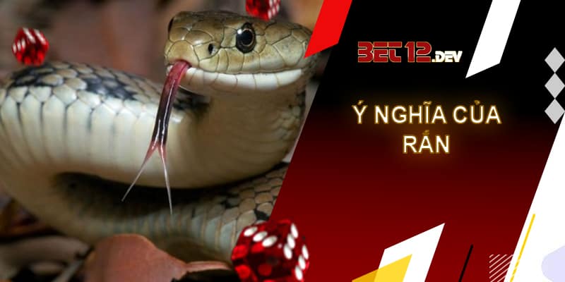 Giải mã giấc mơ thấy rắn cùng những điềm báo thú vị Ý nghĩa của loài rắn trong văn hóa dân gian