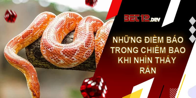 Giải mã giấc mơ thấy rắn cùng những điềm báo thú vị Những điềm báo trong chiêm bao nhìn thấy rắn