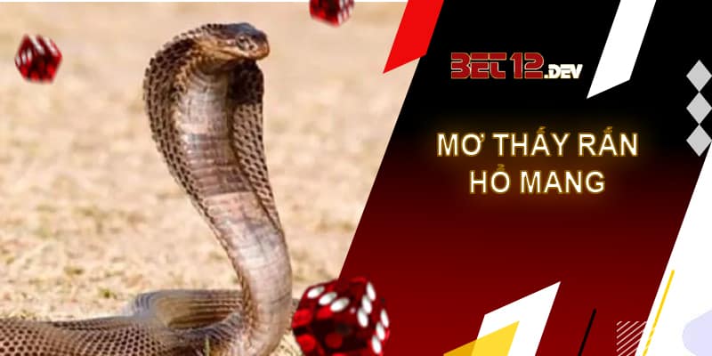 Giải mã giấc mơ thấy rắn cùng những điềm báo thú vị Giải mã giấc mơ thấy con rắn hổ mang