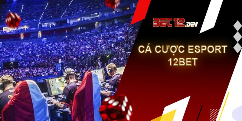 Cá cược Esport 12bet – cơ hội làm giàu cho cược thủ