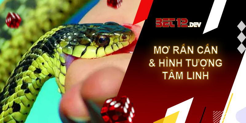 Cùng 12bet giải mã giấc mơ bị rắn cắn Giải mã giấc mơ bị rắn cắn và hình tượng tâm linh