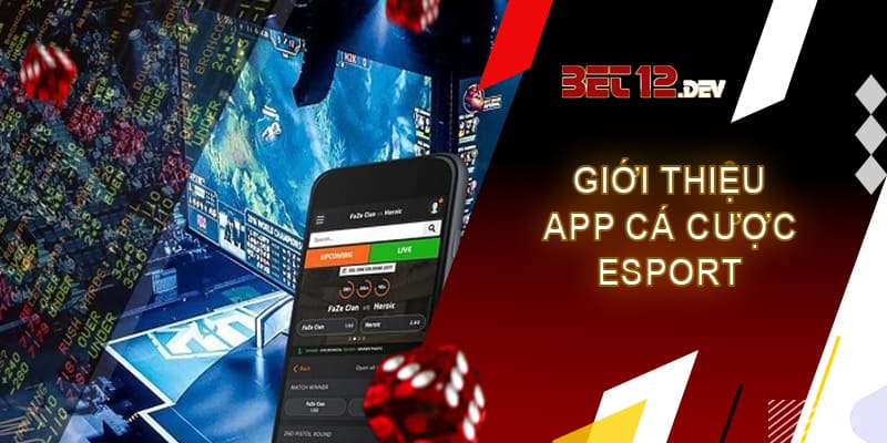 Hướng dẫn đặt cược trên app cá cược Esport 12bet chi tiết