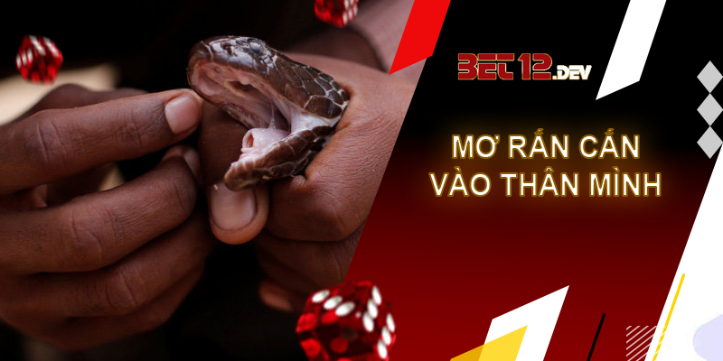 Cùng 12bet giải mã giấc mơ bị rắn cắn Giải mã giấc mơ bị rắn cắn vào thân mình