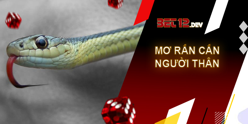 Cùng 12bet giải mã giấc mơ bị rắn cắn Giải mã giấc mơ người thân bị rắn cắn