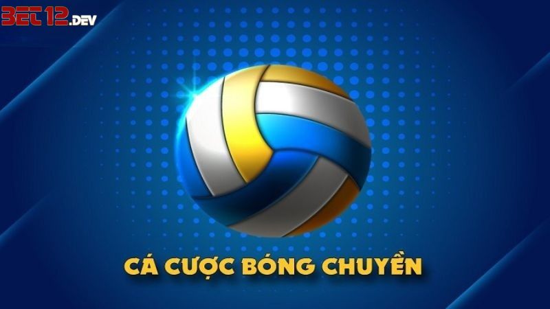 Cá cược bóng chuyền hấp dẫn Cá cược bóng chuyền hấp dẫn