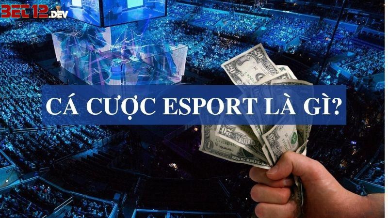 Giới thiệu về cá cược Esport là gì? Giới thiệu về cá cược Esport là gì?