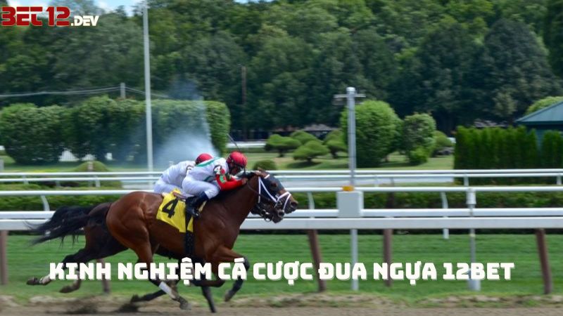 Cách chơi đua ngựa 12bet dễ dàng giành chiến thắng Cách chơi đua ngựa 12bet dễ dàng giành chiến thắng