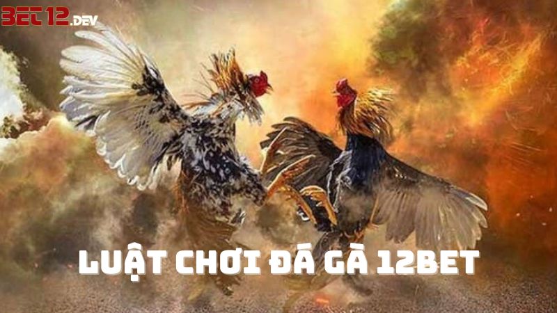 Luật chơi game đá gà 12BET Luật chơi game đá gà 12BET