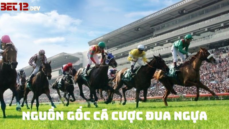 Nguồn gốc đua ngựa – Đua ngựa 12bet Nguồn gốc đua ngựa – Đua ngựa 12bet