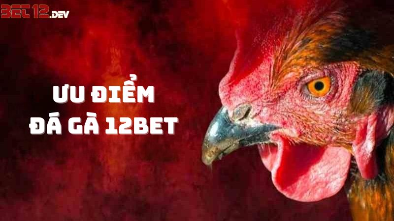 Dịch vụ giải trí cá cược đẳng cấp thế giới tại 12BET Dịch vụ giải trí cá cược đẳng cấp thế giới tại 12BET