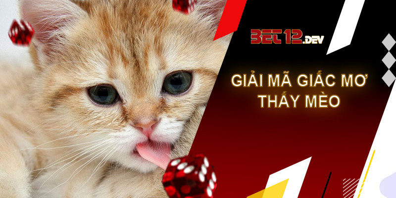 Sự thật thú vị về giải mã giấc mơ thấy mèo