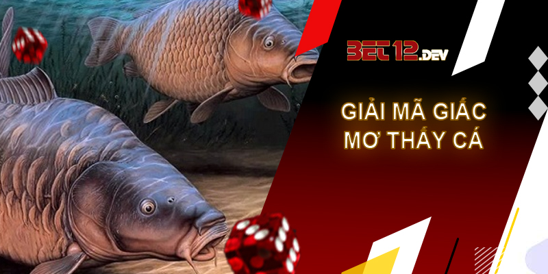 Giải mã giấc mơ thấy cá và những điềm báo bạn cần biết
