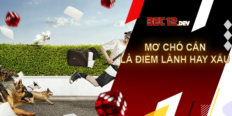 Thông tin thú vị về giải mã giấc mơ bị chó cắn Giải mã giấc mơ bị chó cắn là điềm lành hay điềm xấu?