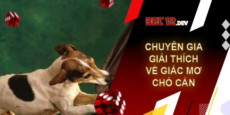 Thông tin thú vị về giải mã giấc mơ bị chó cắn Cùng chuyên gia giải mã giấc mơ bị chó cắn