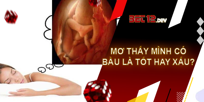Những sự thật thú vị về giải mã giấc mơ thấy mình có bầu Giải mã giấc mơ thấy mình có bầu là điềm báo tốt hay điềm báo xấu?