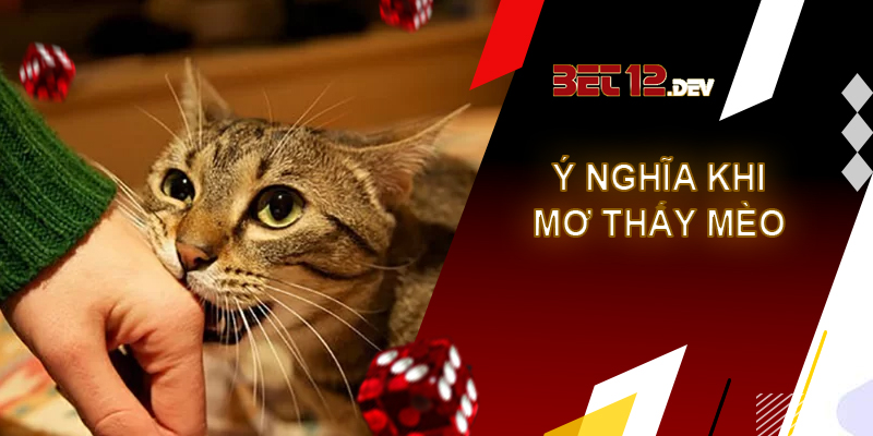 Sự thật thú vị về giải mã giấc mơ thấy mèo Ý nghĩa phong thủy của giải mã giấc mơ thấy mèo