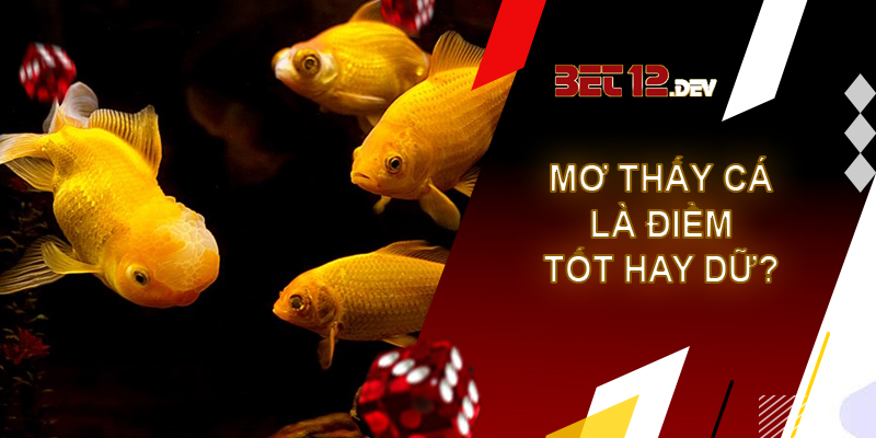 Giải mã giấc mơ thấy cá và những điềm báo bạn cần biết Giải mã giấc mơ thấy cá là điềm tốt hay điềm dữ?