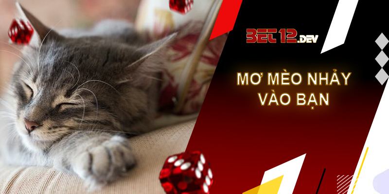 Sự thật thú vị về giải mã giấc mơ thấy mèo Giải mã giấc mơ thấy mèo nhảy vào người bạn