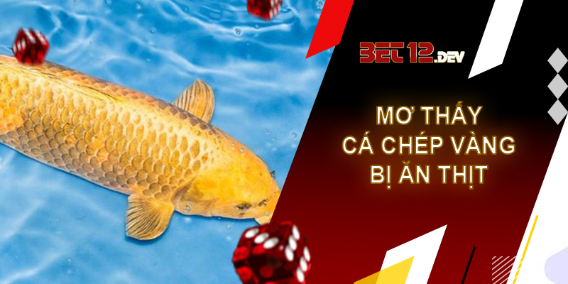 Giải mã giấc mơ thấy cá và những điềm báo bạn cần biết Giải mã giấc mơ thấy cá chép vàng bị ăn thịt