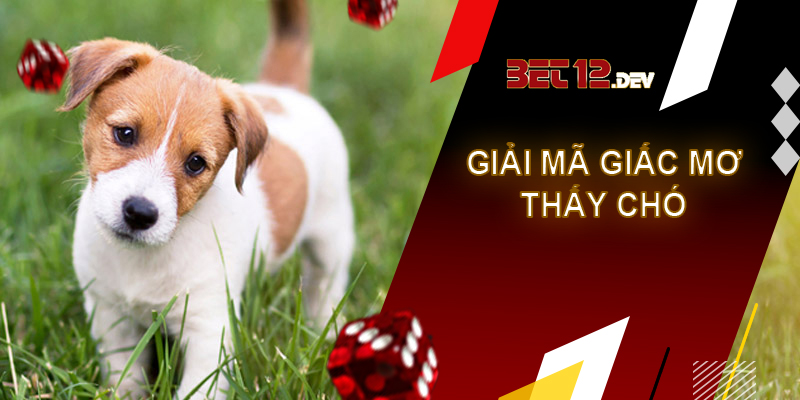 Tìm hiểu điềm báo và giải mã giấc mơ thấy chó