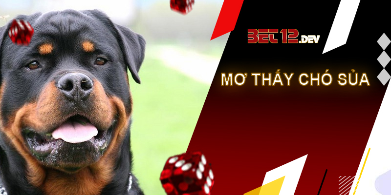 Tìm hiểu điềm báo và giải mã giấc mơ thấy chó Giải mã giấc mơ thấy chó sủa
