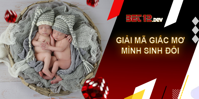 Cẩm nang thú vị về giải mã giấc mơ sinh con Giải mã giấc mơ thấy sinh đôi