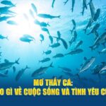 Mơ Thấy Cá: Điềm Báo Gì Về Cuộc Sống Và Tình Yêu Của Bạn?